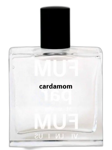 Cardamom Fumparfum by FUMparFUM