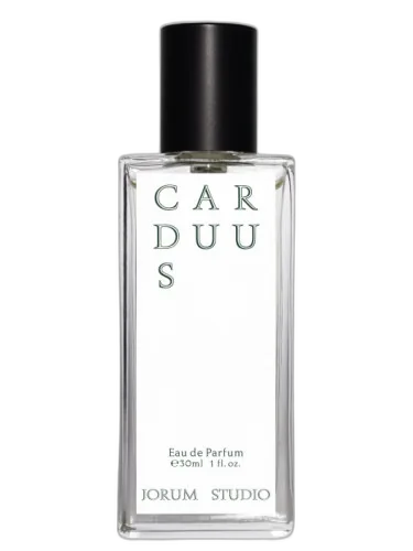 Carduus Jorum Studio