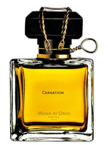 Carnation Mona Di Orio by Mona di Orio