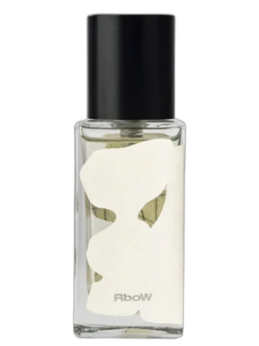 Case Study #12 Dance And Balance Rbow by RboW