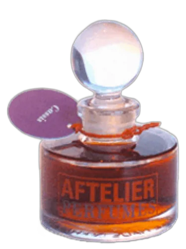 Cassis Aftelier