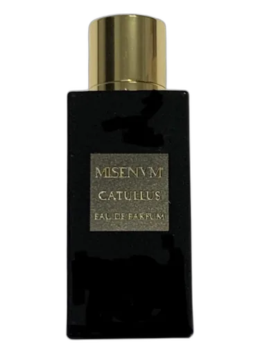 Catullus Misenum by Misenum