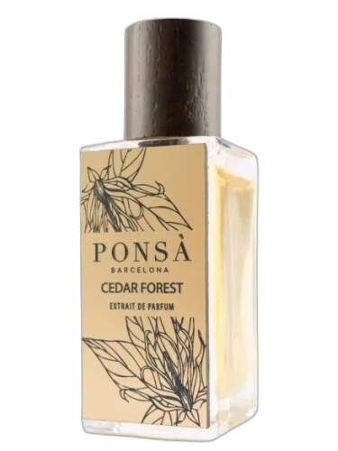 Cedar Forest Ponsa by Ponsa