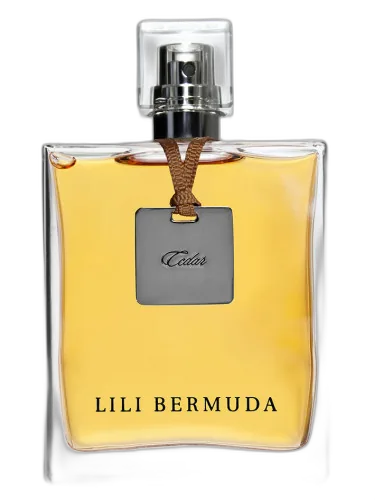 Cedar Lili Bermuda by Lili Bermuda