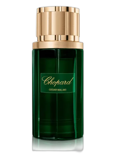 Cedar Malaki Chopard by Chopard