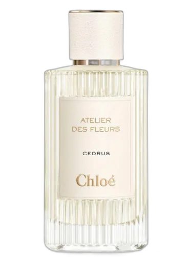 Cedrus Chloé