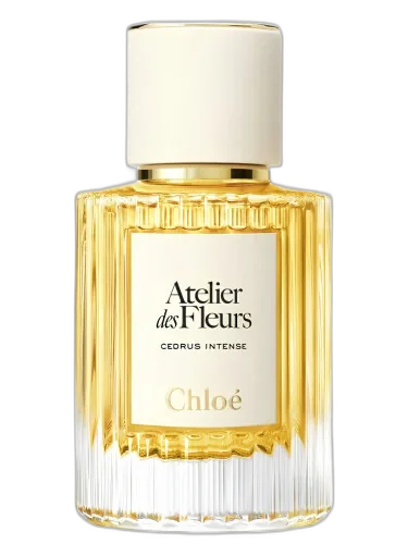 Cedrus Intense Chloé