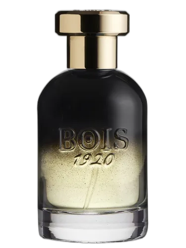 Centenario Bois 1920