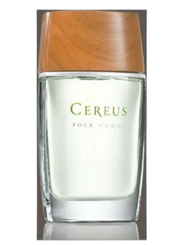 Cereus No.5 Cereus by Cereus