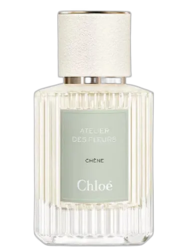 Chêne Chloé