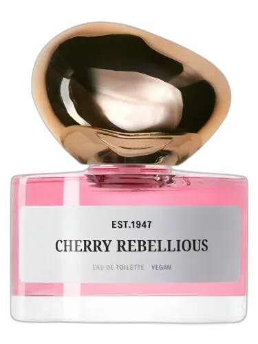 Cherry Rebellious H&m by H&M