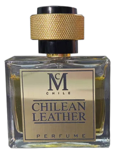 Chilean Leather Casaniche
