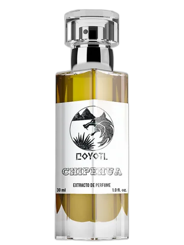 Chipehua Coyotl