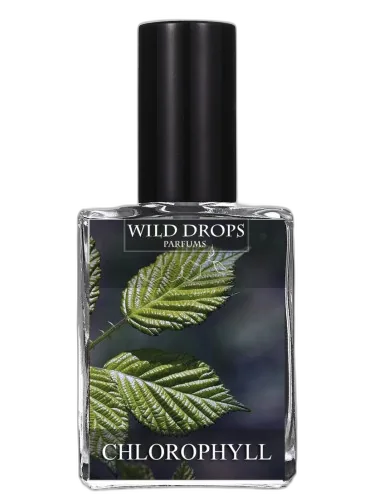 Chlorophyll Wild Drops Parfums