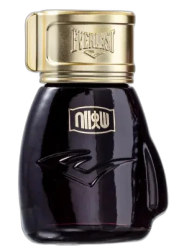 Choice Of Champions Street Fighter Metro City Everlast by Everlast