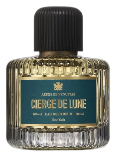 Cierge De Lune Aedes De Venustas