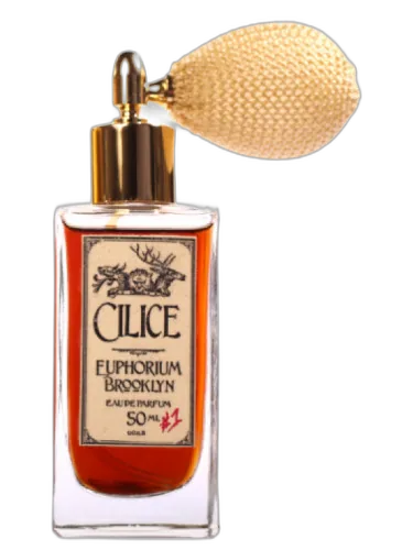 Cilice Euphorium Brooklyn by Euphorium Brooklyn