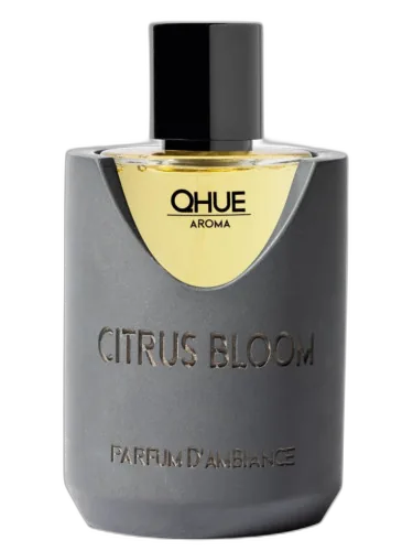 Citrus Bloom Qhue by Qhue