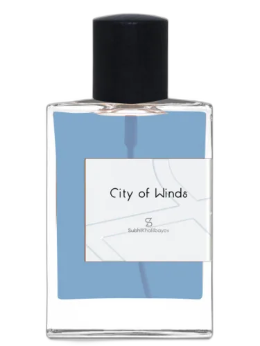 City Of Winds Subhi Khalilbayov by Subhi Khalilbayov