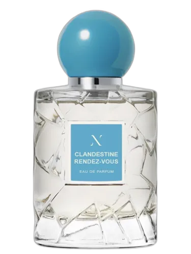 Clandestine Rendez-vous Les Soeurs De Noe by Les Soeurs de Noe
