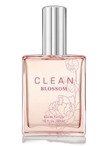 Clean Blossom Clean by Clean