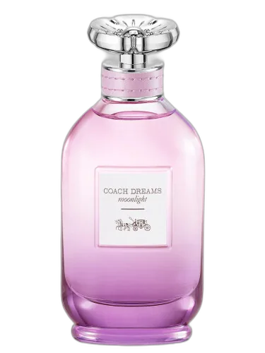 Coach Dreams Moonlight Coach by Coach