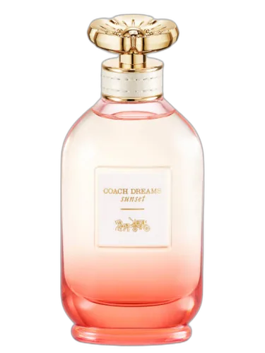 Coach Dreams Sunset Coach