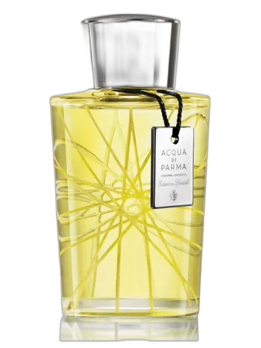 Colonia Assoluta Edizione Speciale 2013 Acqua Di Parma by Acqua di Parma
