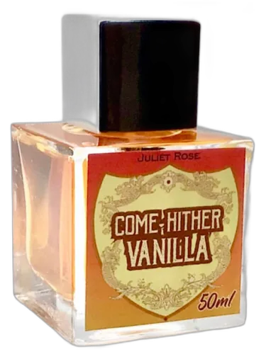 Come Hither Vanilla Juliet Rose by Juliet Rose