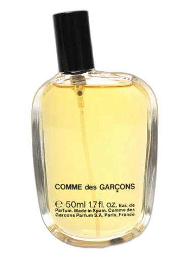 Comme Des Garcons Comme Des Garcons by Comme des Garcons