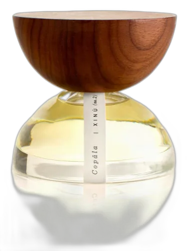 Copala Xinú by Xinú