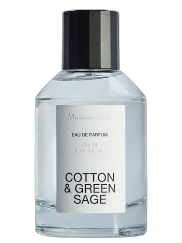 Cotton & Green Sage Massimo Dutti by Massimo Dutti