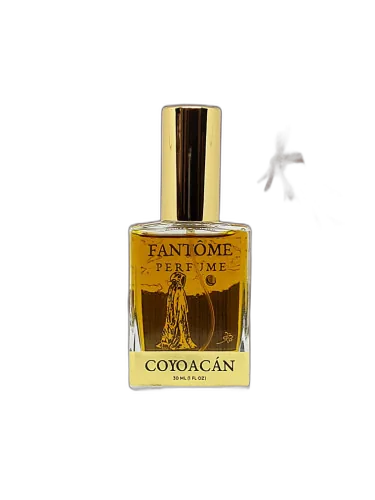 Coyoacán Fantôme