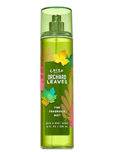 Crisp Orchard Leaves Bath & Body Works by Bath & Body Works