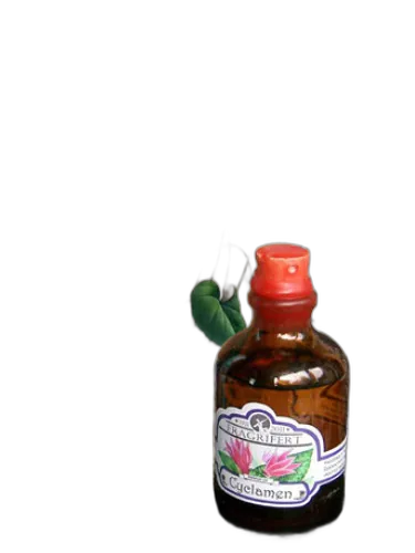 Cyclamen Fragrifert Parfumeur by Fragrifert Parfumeur