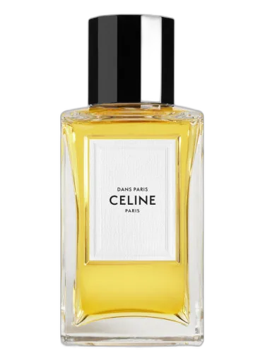 Dans Paris Celine by Celine