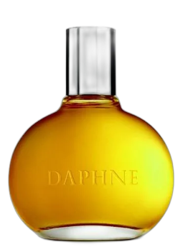 Daphne Comme Des Garcons by Comme des Garcons