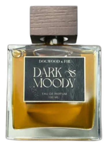 Dark & Moody Dogwood & Fir by Dogwood & Fir