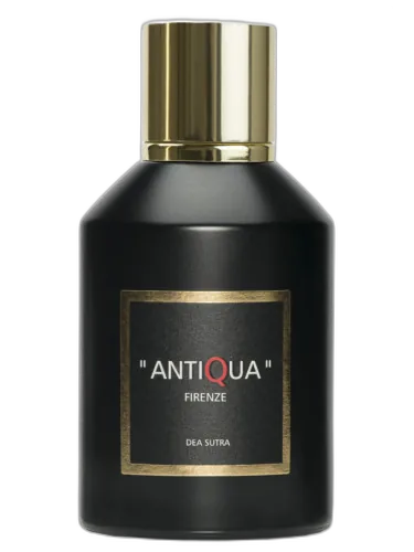 Dea Sutra Antiqua Firenze by Antiqua Firenze