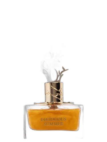 Deciduous Summer Aurora Scents