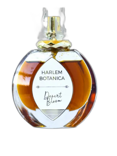 Desert Bloom Harlem Botanica by Harlem Botanica