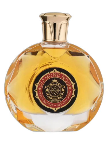 Diamond Noir Louis Alavia by Louis Alavia