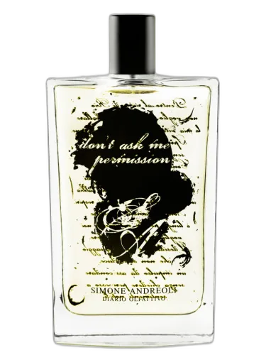 Don't Ask Me Permission Simone Andreoli by Simone Andreoli