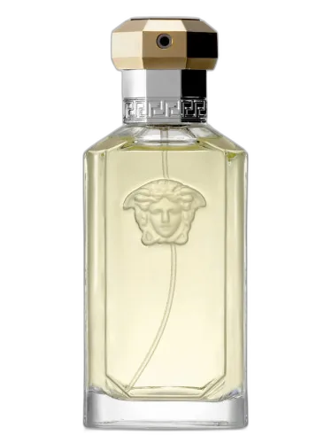 Dreamer The Original Edition Versace by Versace
