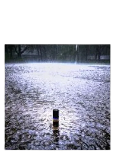 During The Rain Solstice Scents by Solstice Scents