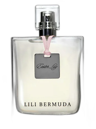 Lily Lili Bermuda by Lili Bermuda