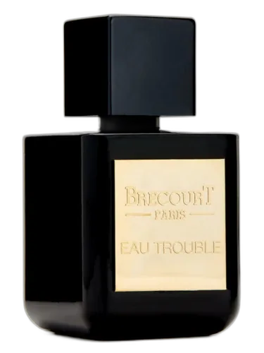 Eau Trouble Brecourt
