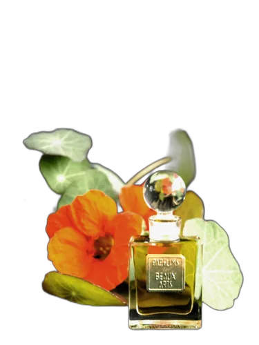 Eau De Coquette (the Perfumed Court; Natural) Dsh Perfumes by DSH Perfumes