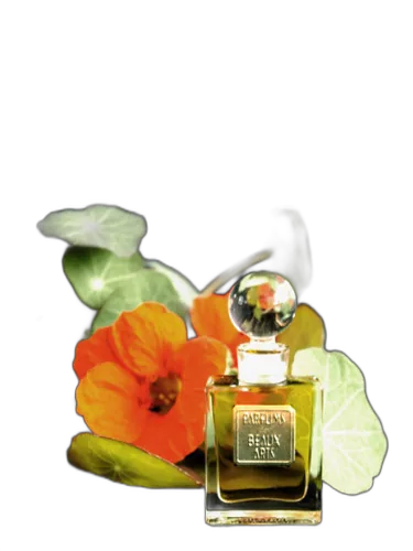 Eau De Trianon (the Perfumed Court; Natural) Dsh Perfumes by DSH Perfumes
