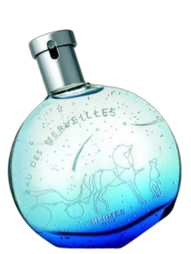 Eau Des Merveilles Constellation Hermès by Hermès